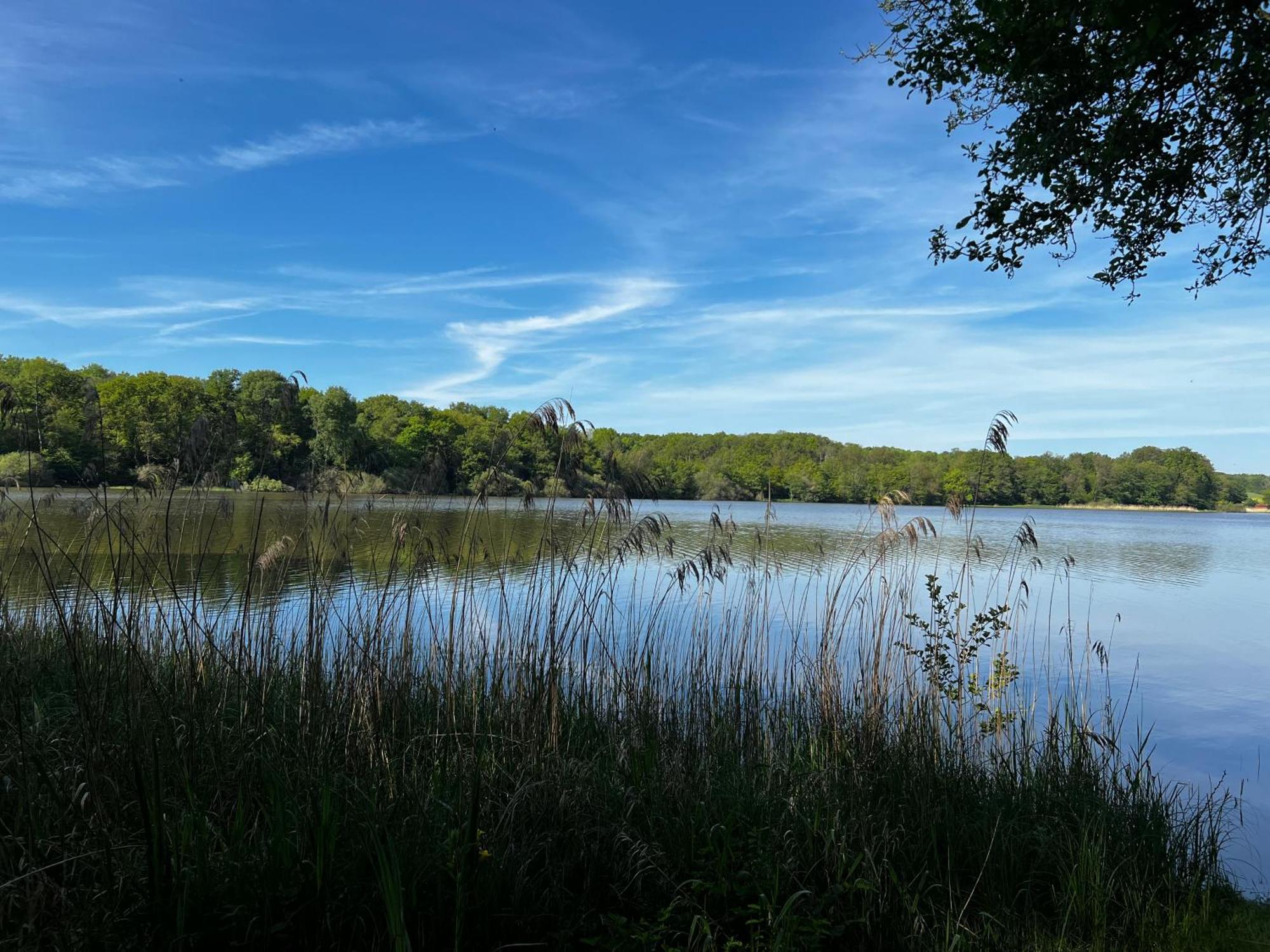 Chalet Au Bord De L'Etang 4 Pers Les Boulmiers Εξωτερικό φωτογραφία