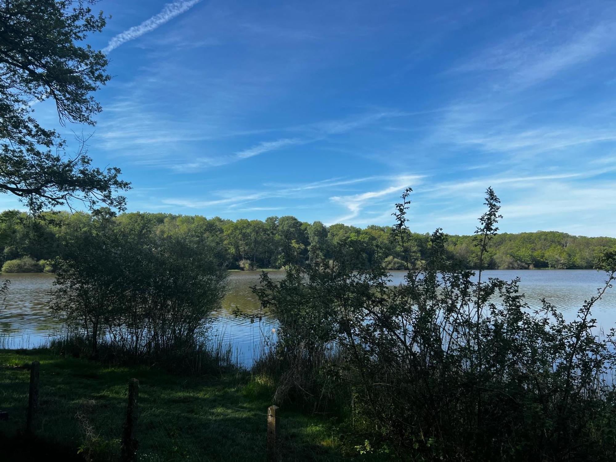 Chalet Au Bord De L'Etang 4 Pers Les Boulmiers Εξωτερικό φωτογραφία