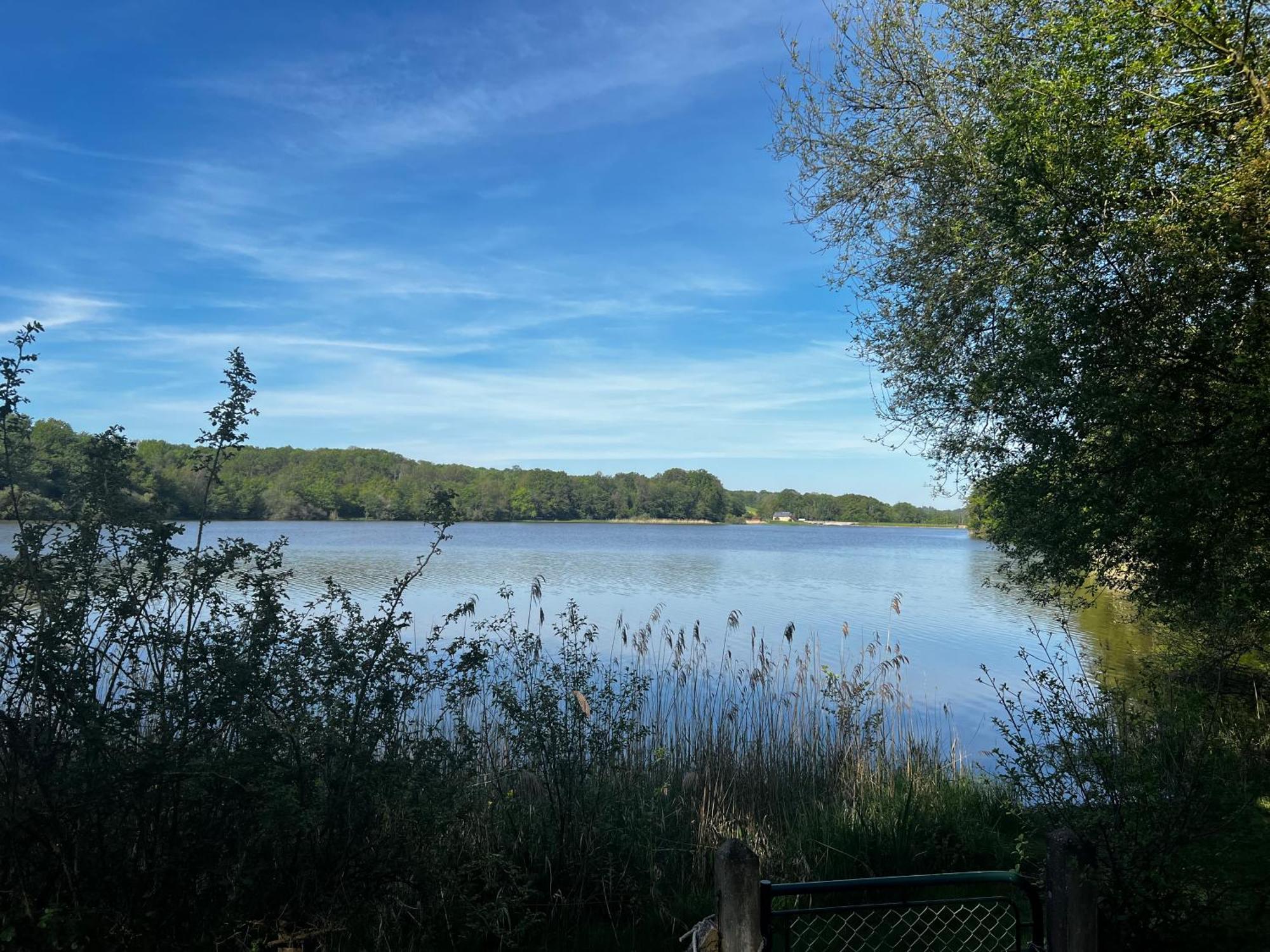 Chalet Au Bord De L'Etang 4 Pers Les Boulmiers Εξωτερικό φωτογραφία